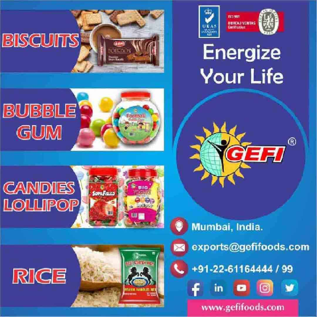 GLOBAL ENERGY FOOD INDUSTRIES PVT LTD